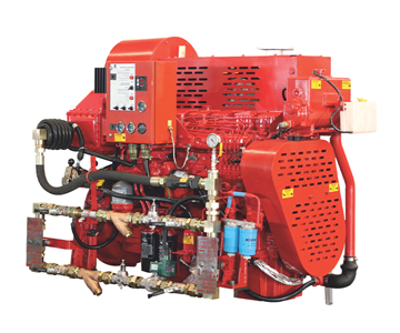 Air Cooled Rotary Pump