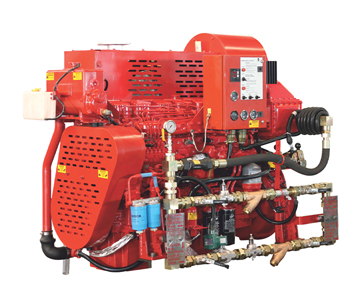 Air Cooled Rotary Pump