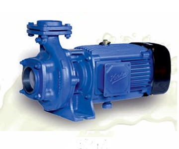 Air Cooled Rotary Pump