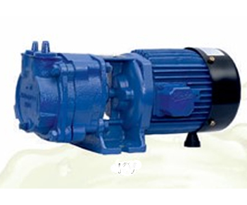 Air Cooled Rotary Pump