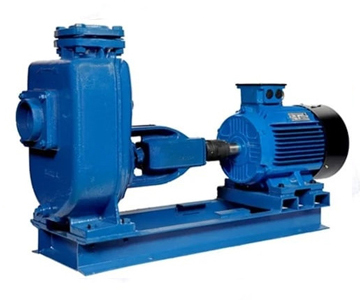 Air Cooled Rotary Pump