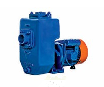 Air Cooled Rotary Pump