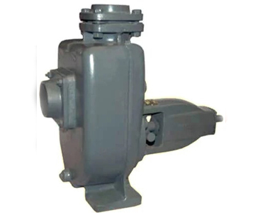 Air Cooled Rotary Pump