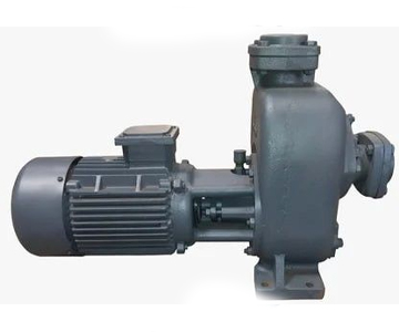 Air Cooled Rotary Pump